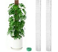 Advokingtap 24 Inch D-Shaped Plastic Moss Pole Set For Monstera & Climbing Plants - Vertical Growth Support, Flat Side Design For Stronger Root Grip(2PCs)