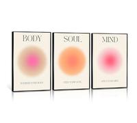 Adyggefy Black Aluminum Framed Art Positive Aura Aesthetic Posters 3 Piece Colorful Aura Gradient Canvas Wall Art Spiritual Soul Body Mind Quote Print Painting Danish Pastel Wall Decor for Yoga