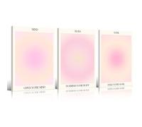Adyggefy Framed 3 Piece Pink Gradient Aura Spiritual Canvas Wall Art Trippy Positive Affirmations Room Aesthetic Posters Minimalist Open Mind Body Soul Energy Quotes Prints Paintings Decor 16x24in