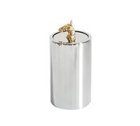 ADYHBFGT Toothpick Dispenser Jar Box Push-type Toothpick Holder Box Jar Silver Simple Home Living Room Tabletop Ornaments(B)