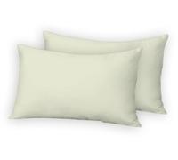 AE Linen® Elegant Luxury Comfort 2 Pack Pillow Cases | Premium Hotel Quality Softest Pillow Case | Easy Care | Smooth Weave | Wrinkle and Strain Resistant Cooling Pillow Case (48 x 74 cm/Cream)