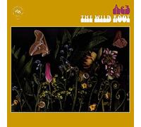 Ae3 (Alan Evans Trio) - The Wild Root [VINYL]