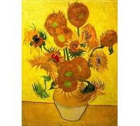 Aeadar Diamond Painting Kits for Adult, Van Gogh Sunflowers Diamond Art Kits Craft Gift, Home Wall Decor (30x40 cm)
