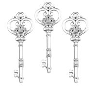 AebDerp 20 Piece Vintage Skeleton Key Charms Decor Antique Style Metal Pendants for DIY Craft Ornaments, Steampunk, Rustic Beach, Jewelry Making, Graduation, Holiday and Wedding Favors (Silver)