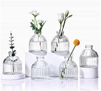 Aebor Glass Bud Vases Set of 6, Glass Flower Vases Small Bottles for Floral Arrangements, Rustic Decorative Floral Vases for Centerpiece Home Living Room Office Decoration or Wedding Event (Clear A)