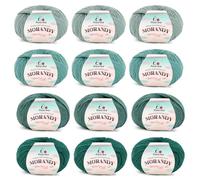 Aeelike Merino Wool Yarn for Knitting and Crochet, 12x50g, Green Ombre