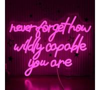 AEHEMNGZ Never Forget How Wildly Capable You Are Neon Sign Dimmable Inspirational Letter Neon Light USB Powered Motivational Led Light Sign for Man Cave Bar Office Decoration (16.54 * 12.6)