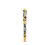 AEHON City Light Hollow Gift Business Pen Piston Ink Absorbing Transparent Resin Inner Sleeve Writing Pen(A3,F)