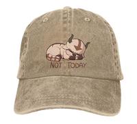 AEIKHAEC Baseball hat Appa Avatar Cartoon Baseball caps for Men and Women Worn Denim hat Adjustable fit no Today Golf Gifts