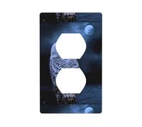 AEKGOHP Owl at Night Prints Double Socket Wall Panel Decorative is Durable and Suitable for Socket Light Switch Accessories 4.5x2.76in