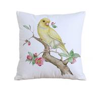 AELKSP Cushion Cover Decorations Pillow Cover Home for Livingroom Couch Sofa Decor Throw Pillow Case Gifts,Canary on a flowering branch isolated on white,18x18 in