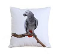 AELKSP Cushion Cover Decorations Pillow Cover Home for Livingroom Couch Sofa Decor Throw Pillow Case Gifts,Grey,African Parrot Bird Psittacus Erithacus Standing on a Branch Tropical Natur,18x18 in