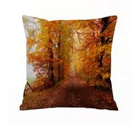 AELKSP Cushion Cover Decorations Pillow Cover Home for Livingroom Couch Sofa Decor Throw Pillow Case Gifts,Autumn, footpath in misty woods Peaceful September Serene Idyllic country theme,20x20 in