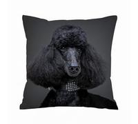 AELKSP Cushion Cover Decorations Pillow Cover Home for Livingroom Couch Sofa Decor Throw Pillow Case Gifts,Beautiful Black Poodle on Grey Background,16x16 in