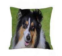 AELKSP Cushion Cover Decorations Pillow Cover Home for Livingroom Couch Sofa Decor Throw Pillow Case Gifts,Close up shot of a tri-color rough collie,18x18 in