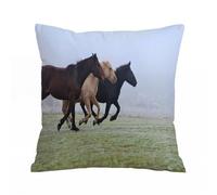 AELKSP Cushion Cover Decorations Pillow Cover Home for Livingroom Couch Sofa Decor Throw Pillow Case Gifts,Horses, a few racehorses on the grass on a late autumn foggy day,20x20 in