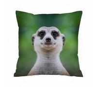 AELKSP Cushion Cover Decorations Pillow Cover Home for Livingroom Couch Sofa Decor Throw Pillow Case Gifts,A selective focus shot of a meerkat face,18x18 in