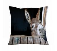 AELKSP Cushion Cover Decorations Pillow Cover Home for Livingroom Couch Sofa Decor Throw Pillow Case Gifts,Funny Donkey,16x16 in