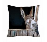 AELKSP Cushion Cover Decorations Pillow Cover Home for Livingroom Couch Sofa Decor Throw Pillow Case Gifts,Donkey Animal Lover Cute Funny Donkey,20x20 in
