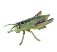 AENIMELY Large Grasshopper Figurine - Hollow Realistic Insect Bug Model Toy for Kids - Educational Bug Toy for Nature Study and Classroom Display
