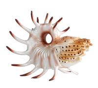 AENIMELY Nautiluses Figurine - Realistic Ancient Sea Creature Model for Kids - Educational Ocean Animal Toy, Prehistoric Marine Life Aquarium Decor, Science Gift