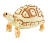 AENIMELY Radiated Tortoise Figurine (Beige Shell) - Realistic Solid Land Turtle Model for Kids - Educational Reptile Animal Toy, Wildlife Learning Gift, Nature Diorama Decor