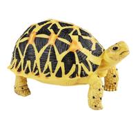 AENIMELY Radiated Tortoise Figurine (Black Shell) - Realistic Solid Land Turtle Model for Kids - Educational Reptile Animal Toy, Wildlife Learning Gift, Nature Diorama Decor