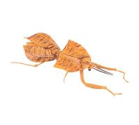 AENIMELY Realistic Insect Bug Figurines - Large Solid Dead Leaf Mantis Figures for Kids, Educational Learning Toy, Cake Topper, Cognitive Science Display Decor