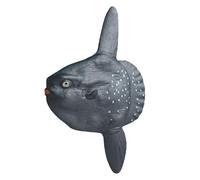 AENIMELY Realistic Mola Mola Fish Figurine - Solid Ocean Sunfish Toy Model for Kids - Educational Sea Animal, Aquarium Decoration, STEM Gift