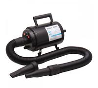 Aeolus Cyclone Blaster Dryer