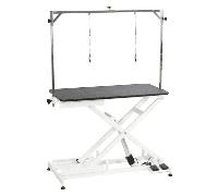Aeolus Wiz Low Low Electric Table