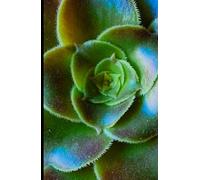 Aeonium Succulent Hardback A5 Lined Glossy Notebook: House Plant Succulent Journal, Gift for Plant Parent, Aeonium Stocking Filler
