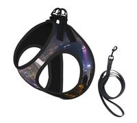 Aerial Night of View Hong Kong Print Small Dog Vest with Leash, Pet Wear S | Cat Comfort No-Chock Step-In Safety Companion Outdoor Travel Puppy Breathable Mesh Canine Dog Walking