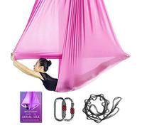 Aerial Yoga Hammock L:5M W:2.8M Aerial Pilates Silk Yoga Swing Set with 2000 Ibs Load Include Daisy Chain, Pose Guide (Sakura Pink)