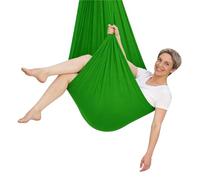 Aerial Yoga Hammock Swing, 2.8 × 1.5 m Nylon, 360° Swivel(Fruit Green) | With Ceiling Mount, Extension Strap and Carabiner for Sensory Play, Stretching, Swinging and Relaxation