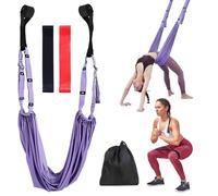 Aerial Yoga Swing Hammock Set - Anti-Gravity Inversion Sling with Adjustable Straps for Yoga, Pilates, Stretching & Home Fitness (Purple)