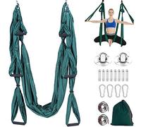 Aerial Yoga Swing Set Trapeze Hammock Kit Ultra Strong Anti-gravity Flying Sling Inversion Swing Tool Set for Air Yoga Inversion Exercises (Green)