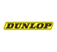 AeRko Car Sticker Dunlop Rear Windshield Vinyl Decal Car Window Car Shape Waterproof PVC (Size : 30CM)