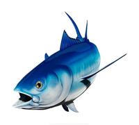 AeRko Personality Bluefin Tuna Fish Car Sticker Vinyl Decals Motorcycle Laptop Decorative Accessories (Size : Width 30 CM)