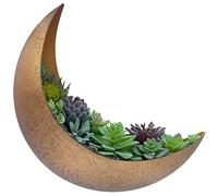 AERLO Wall Mounted Metal Moon Planter - Hanging Crescent Pot for Succulents, Air Plants, Cacti - Boho Indoor Outdoor Moon Wall Decor for Bedroom, Bathroom, Living Room, Nursery - Rustic Gold