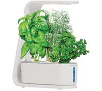AeroGarden White Sprout