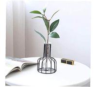 Aeromdale Nordic Metal Frame Hydroponic Bottle Glass Flower Vase Desktop Decoration Iron Crafts Home Arrangement Decor Daily Necessities - Black