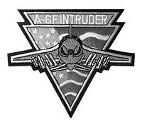 Aeroplane Iron On Patch Sew On Badge United States Jet US Air Force Officer USA