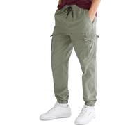 Aeropostale Mens Aero Cargo Jogger Pant, Dusty Olive, Large