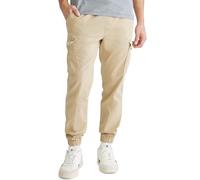Aeropostale Mens Aero Cargo Jogger Pant, Wild Khaki, Medium