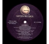 Aerosmith - Dude (looks like a lady) [VINYL]