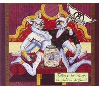 Aerosmith - Falling in Love (Is Hard on the Knees)