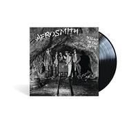 Aerosmith - Night In The Ruts [VINYL]