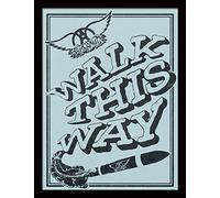 Aerosmith (Walk This Way 30x40cm Framed Memorabilia