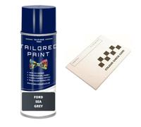 Aerosol Spray Paint For Ford Ranger 2015-Present Sea Grey Metallic Quality Stone Chip Scratch Repair (Aerosol Spray Paint)